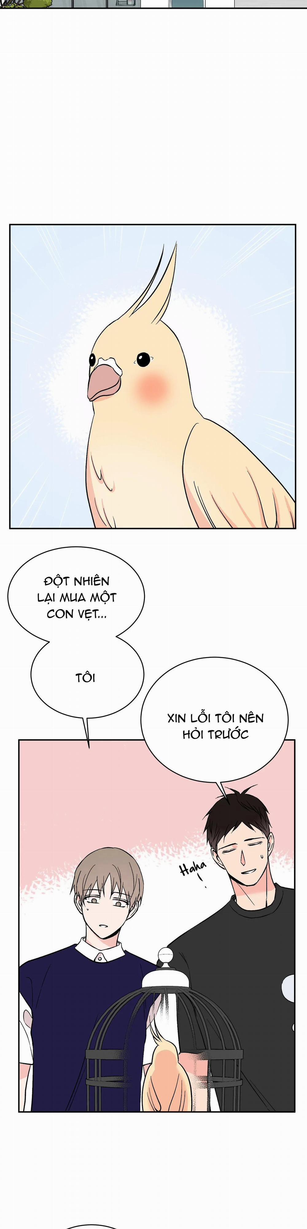 Đảo Ngược 14 trang 20