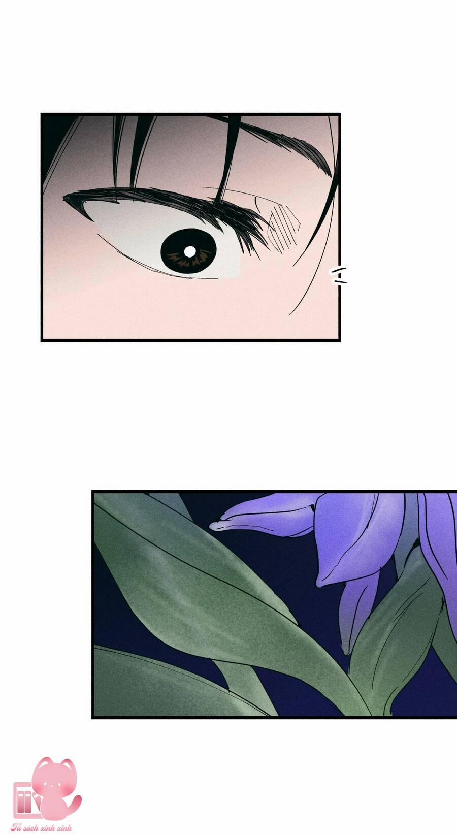 Đảo Phù Thủy 23 trang 24