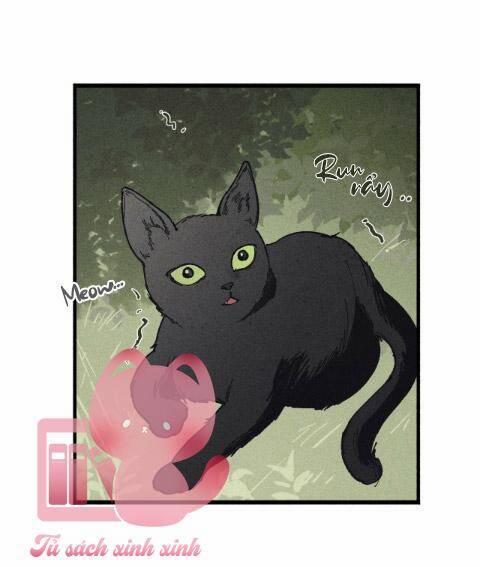 Đảo Phù Thủy 6 trang 35