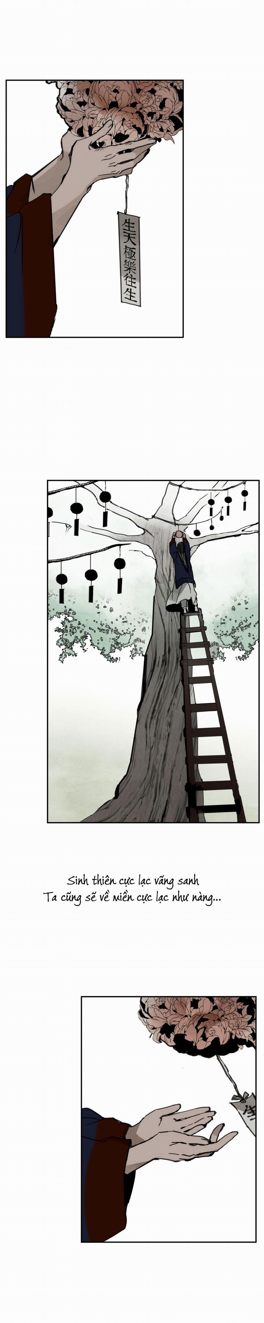 Đạo Sĩ Bí Ẩn Và Cậu Nhóc Vô Cảm 14 trang 12