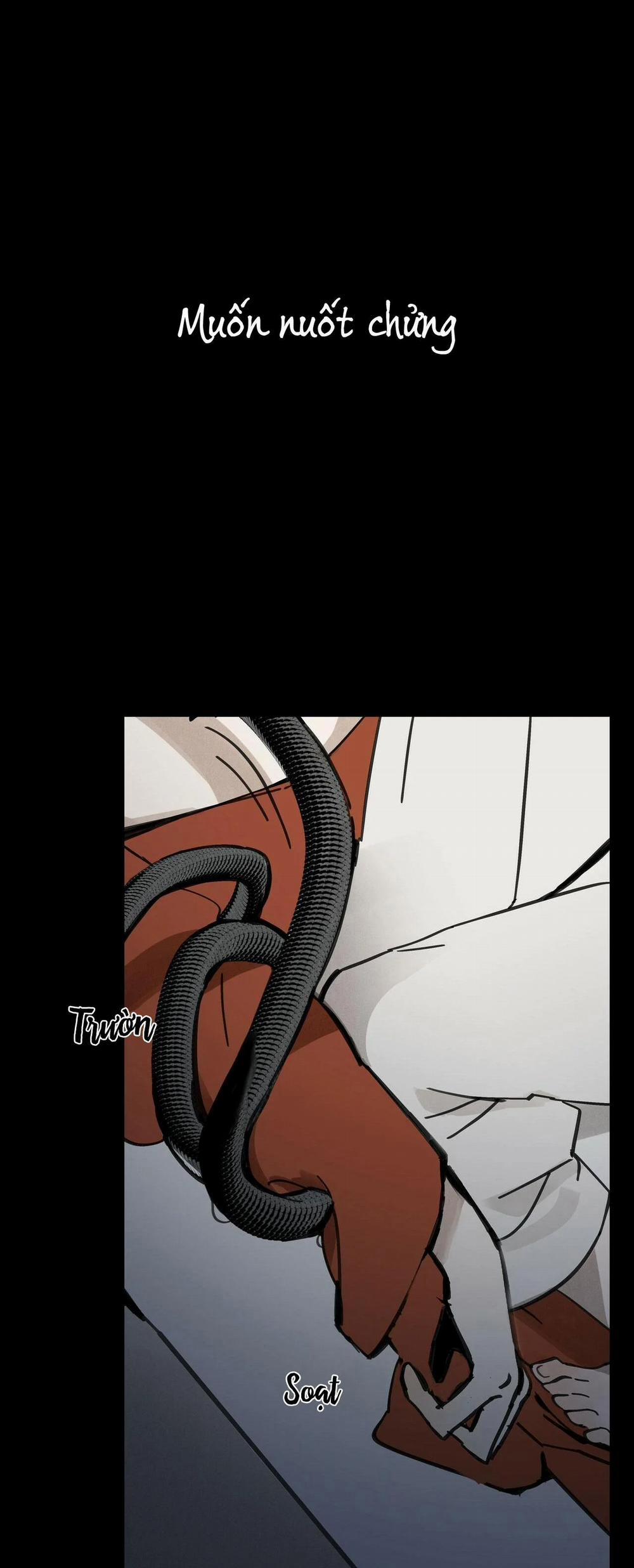 Đạo Sĩ Bí Ẩn Và Cậu Nhóc Vô Cảm 24 trang 5