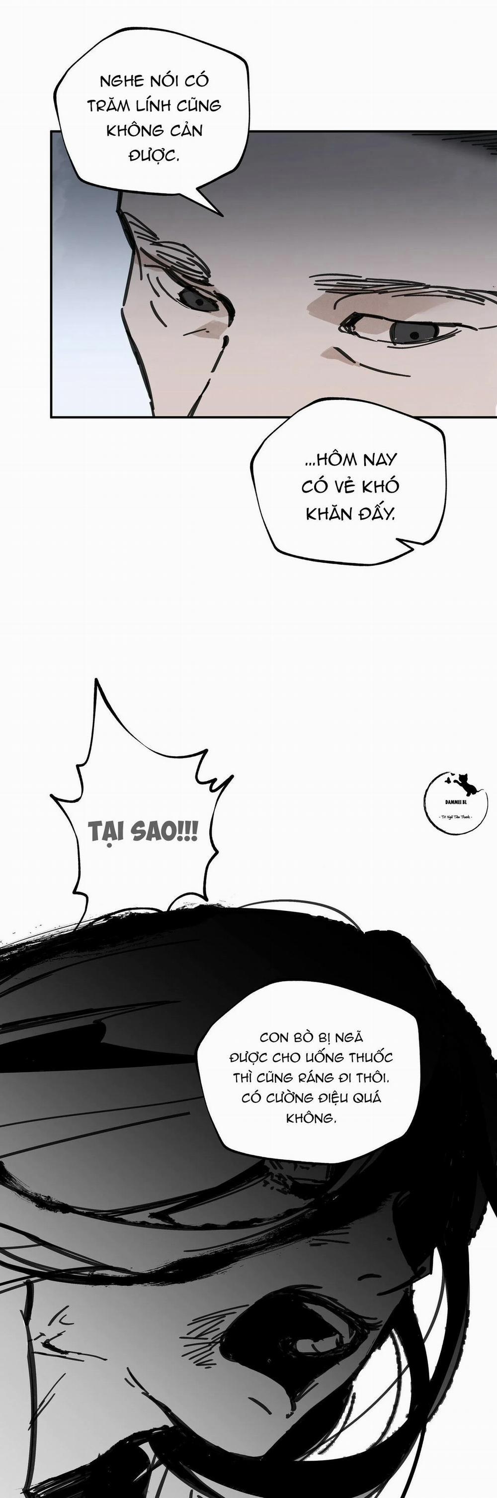 Đạo Sĩ Bí Ẩn Và Cậu Nhóc Vô Cảm 37 trang 14