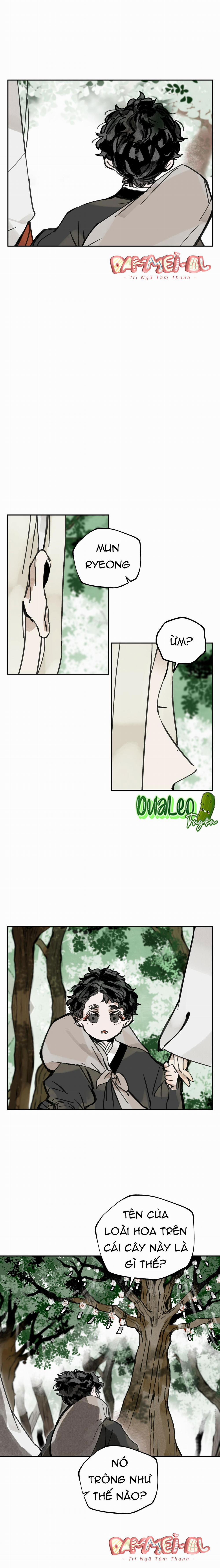 Đạo Sĩ Bí Ẩn Và Cậu Nhóc Vô Cảm 5 trang 5