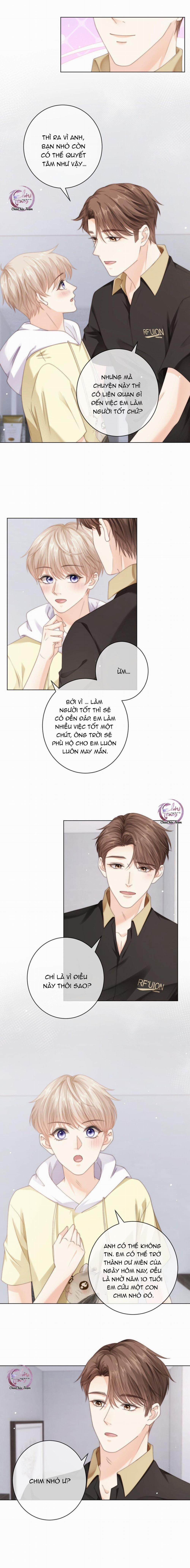 Đảo Thanh Mai 100 trang 7