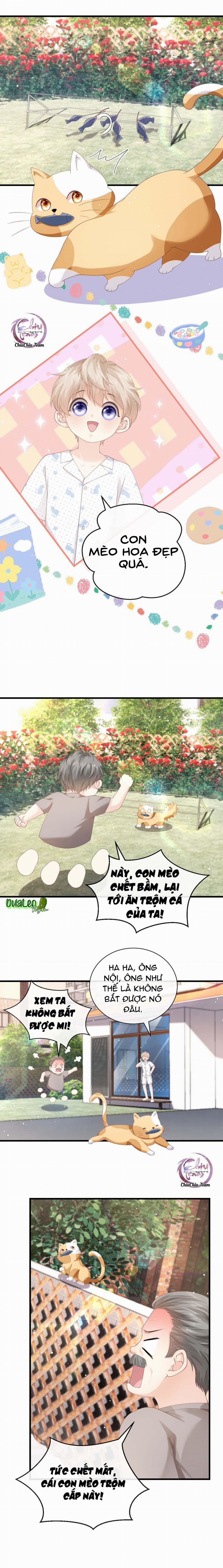 Đảo Thanh Mai 11 trang 2