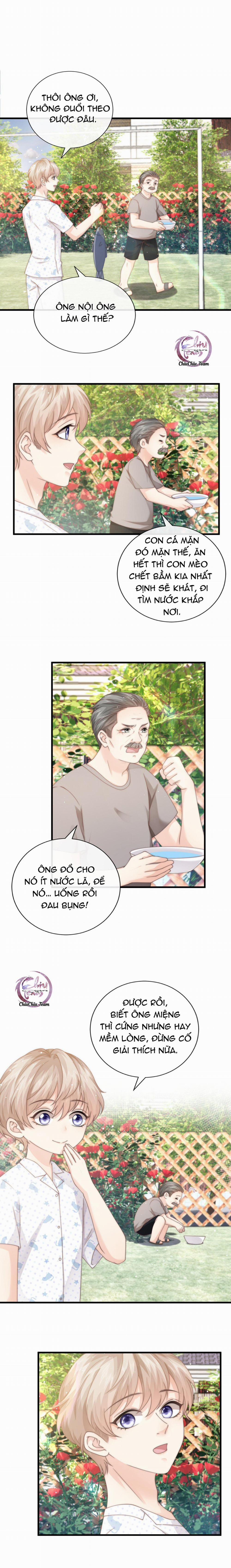 Đảo Thanh Mai 11 trang 3