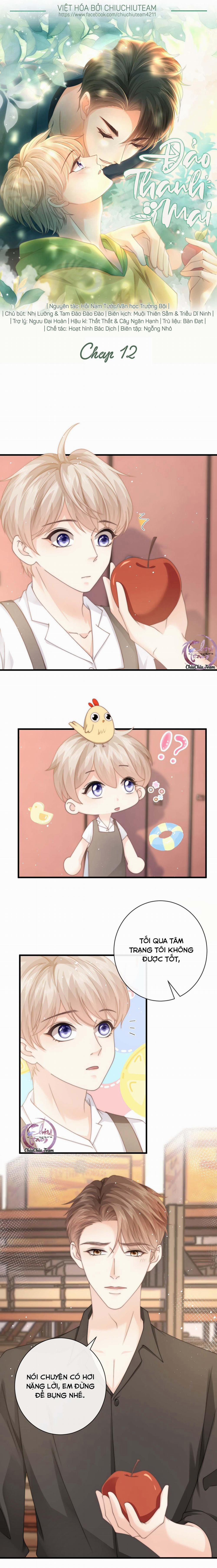 Đảo Thanh Mai 12 trang 0