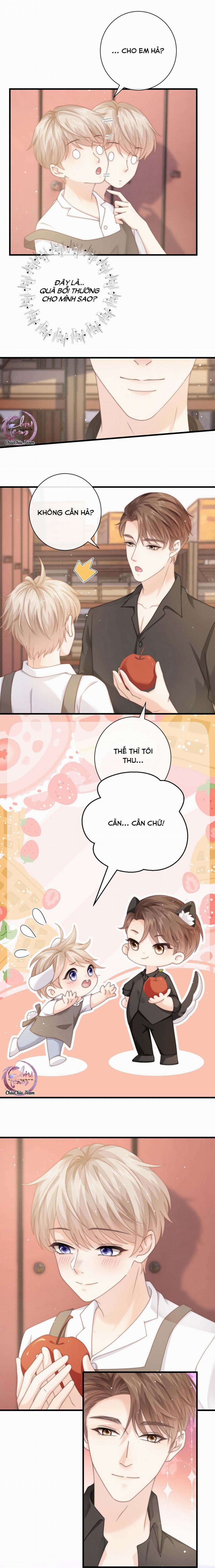 Đảo Thanh Mai 12 trang 1