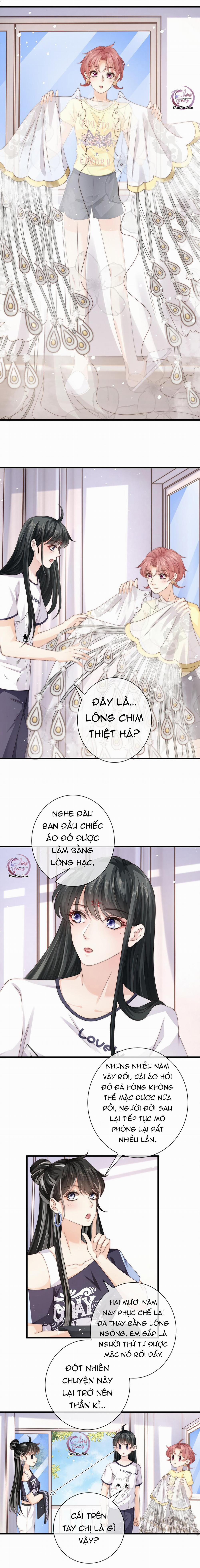 Đảo Thanh Mai 23 trang 6