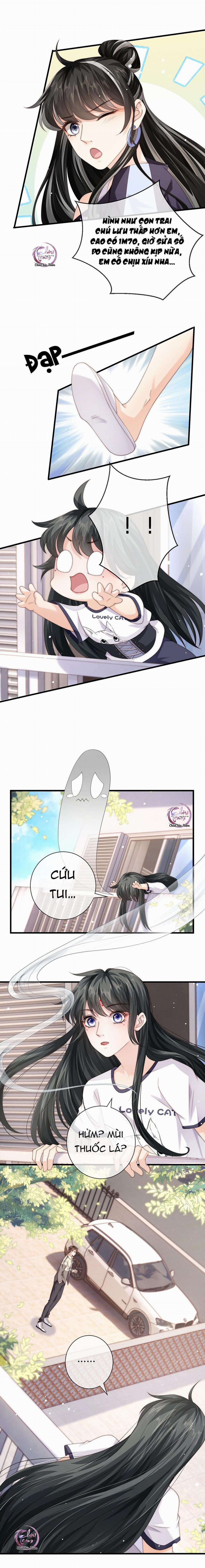 Đảo Thanh Mai 23 trang 8