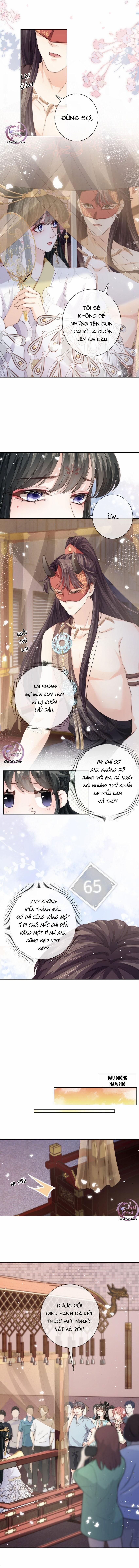 Đảo Thanh Mai 27 trang 1