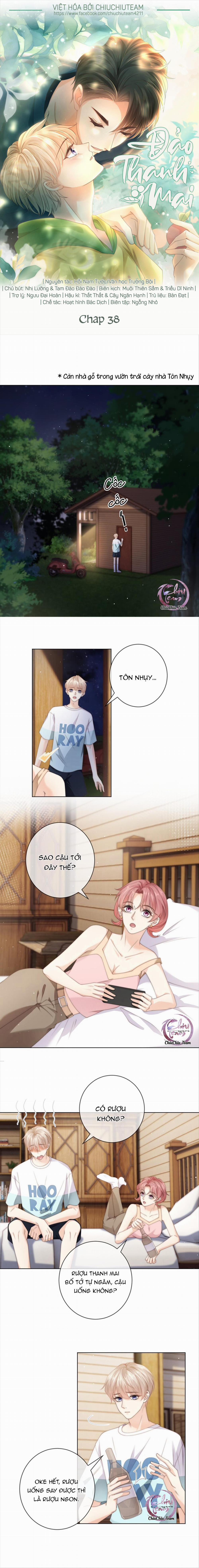 Đảo Thanh Mai 38 trang 0