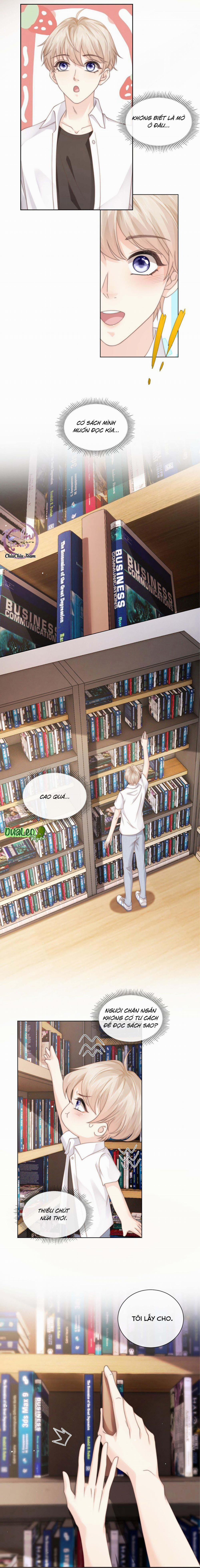 Đảo Thanh Mai 4 trang 2