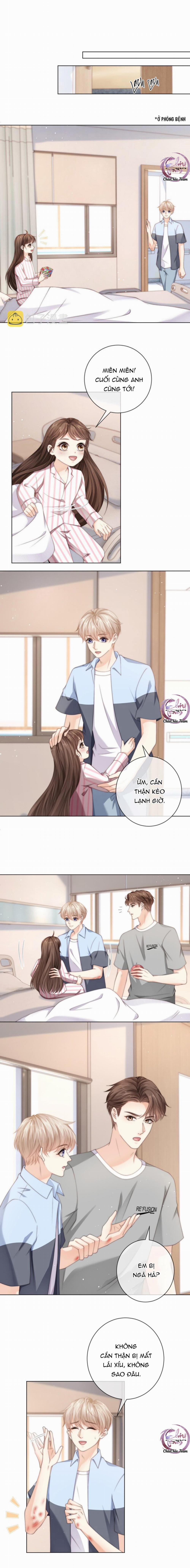 Đảo Thanh Mai 43 trang 5