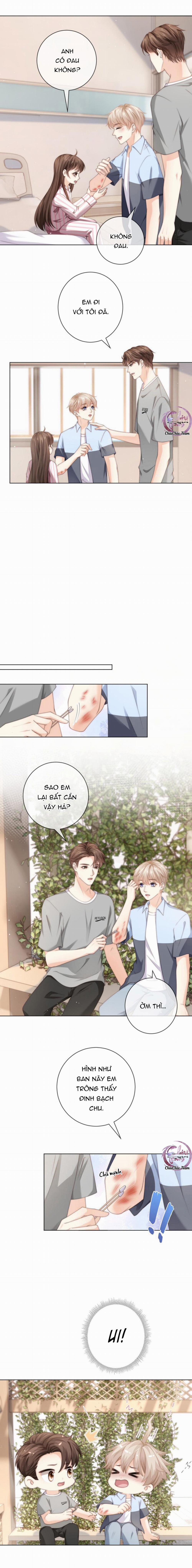 Đảo Thanh Mai 43 trang 6