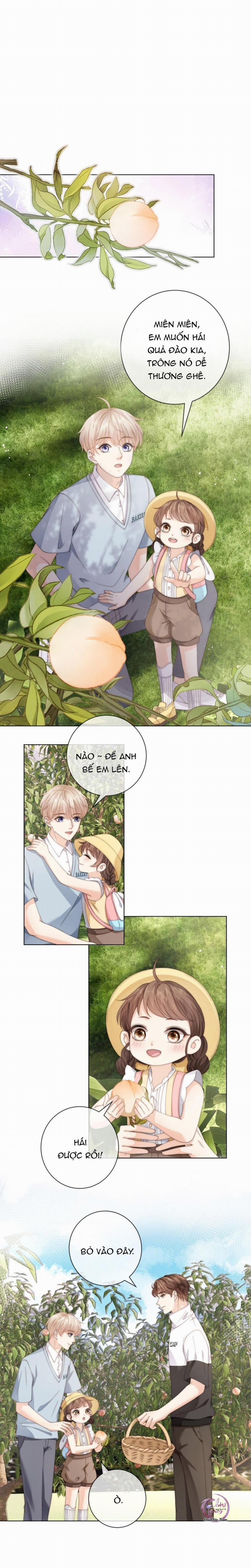 Đảo Thanh Mai 48 trang 9