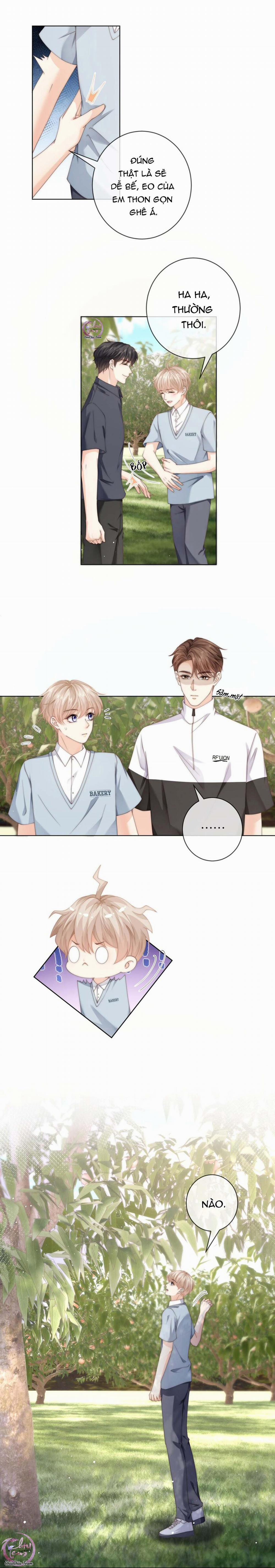 Đảo Thanh Mai 49 trang 1