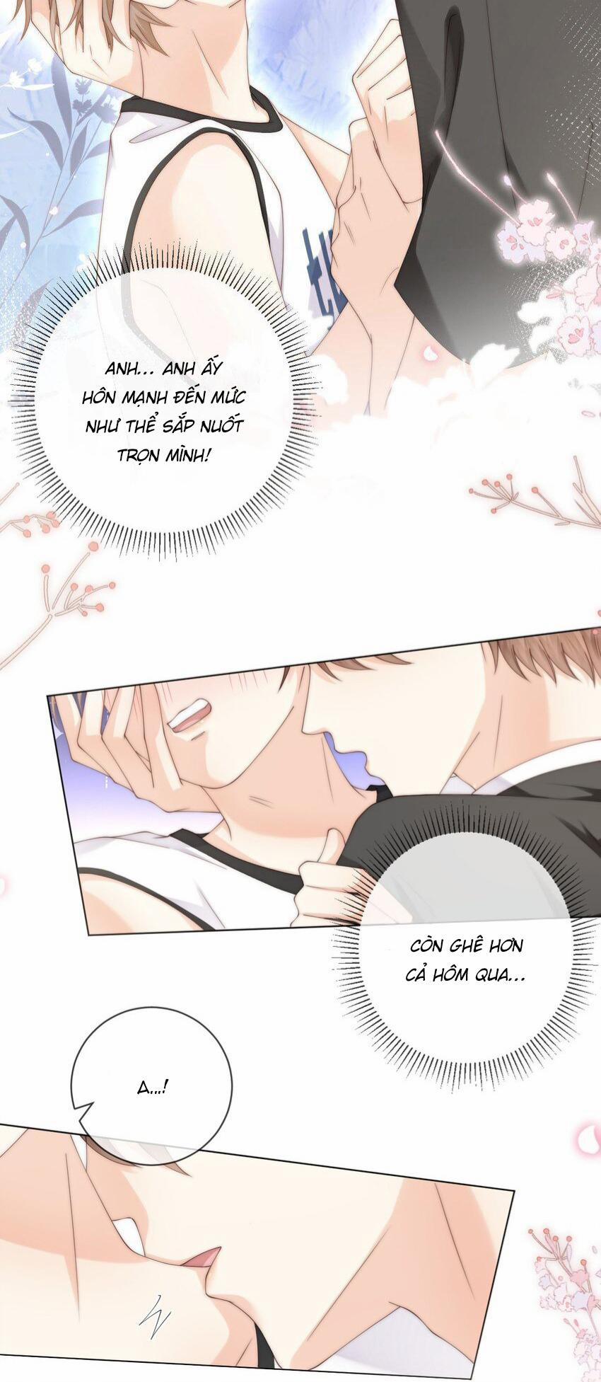 Đảo Thanh Mai 55 trang 19