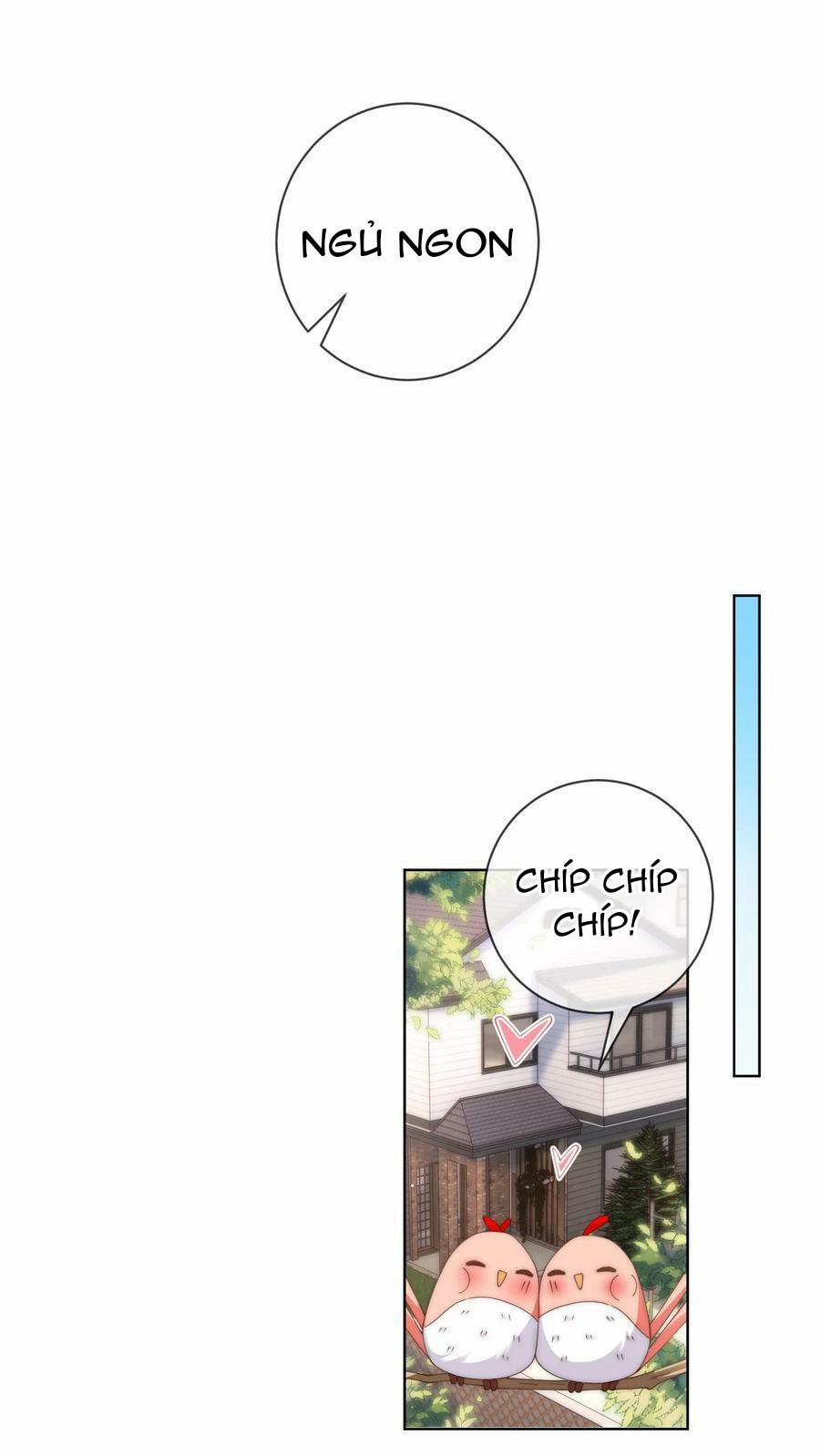 Đảo Thanh Mai 63 trang 19