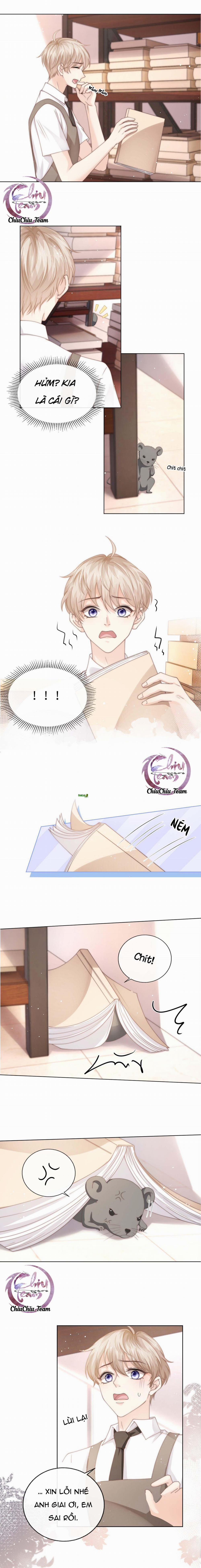 Đảo Thanh Mai 7 trang 8