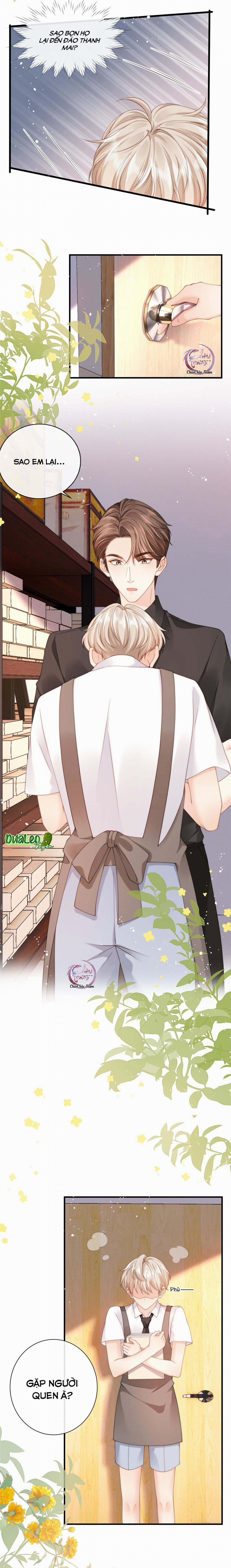 Đảo Thanh Mai 8 trang 3