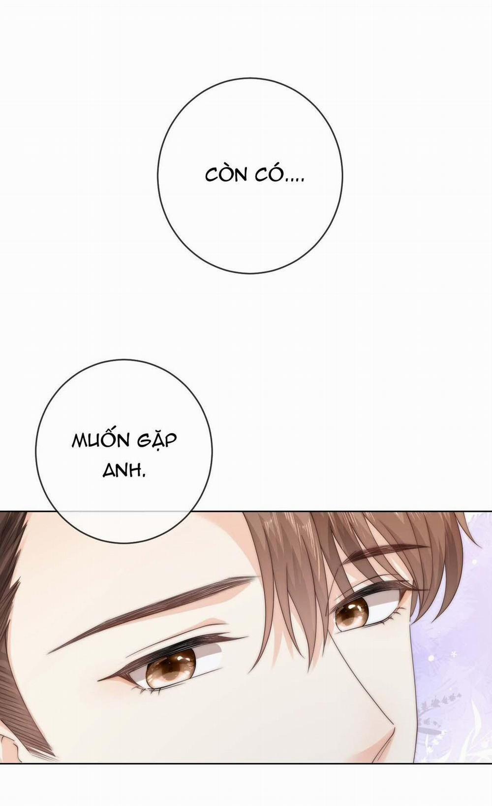 Đảo Thanh Mai 84 trang 7