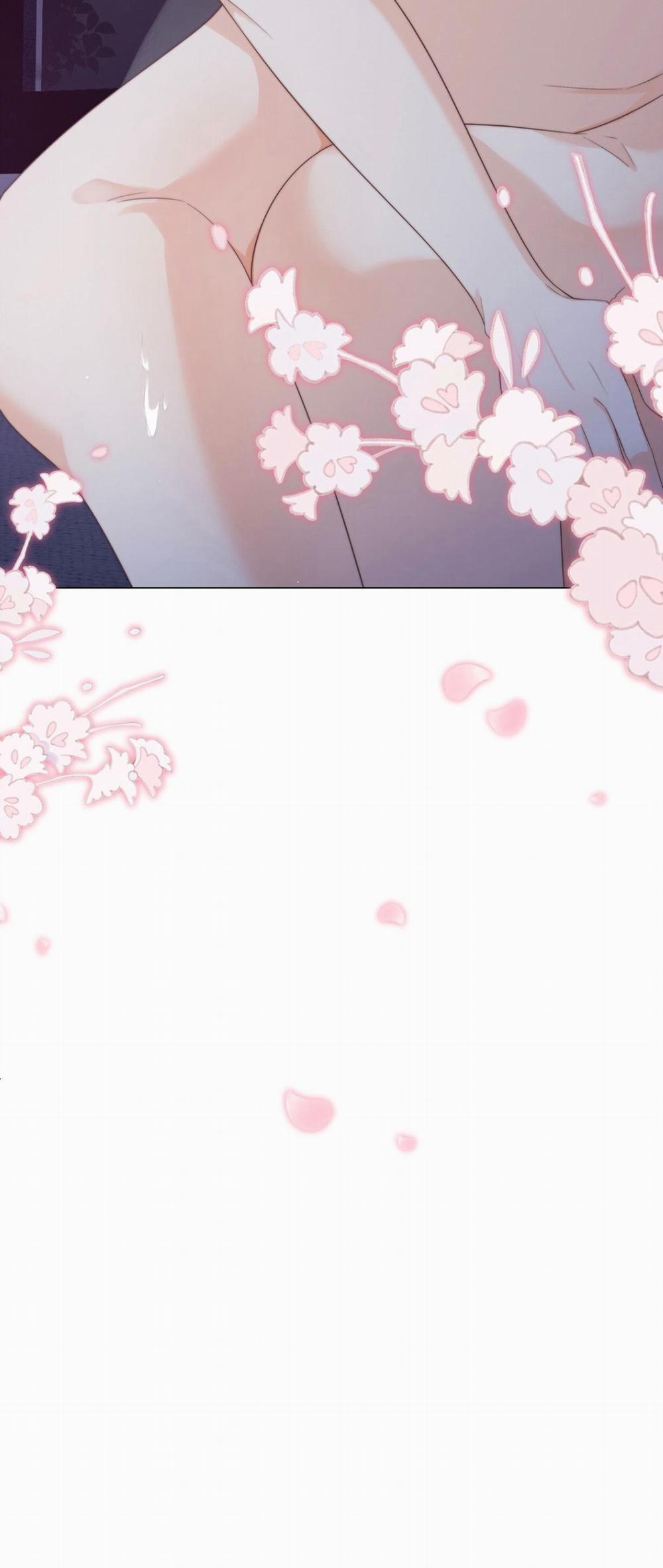 Đảo Thanh Mai 88 trang 17