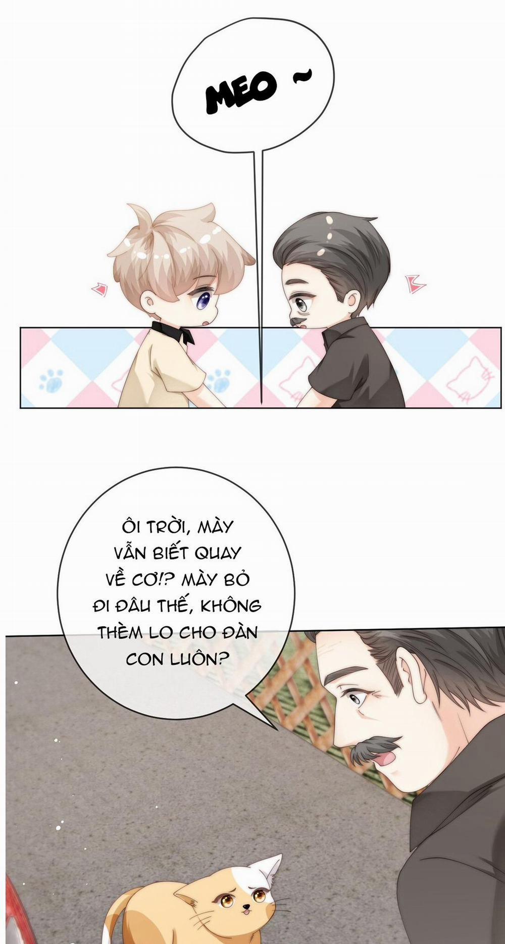 Đảo Thanh Mai 92 trang 11