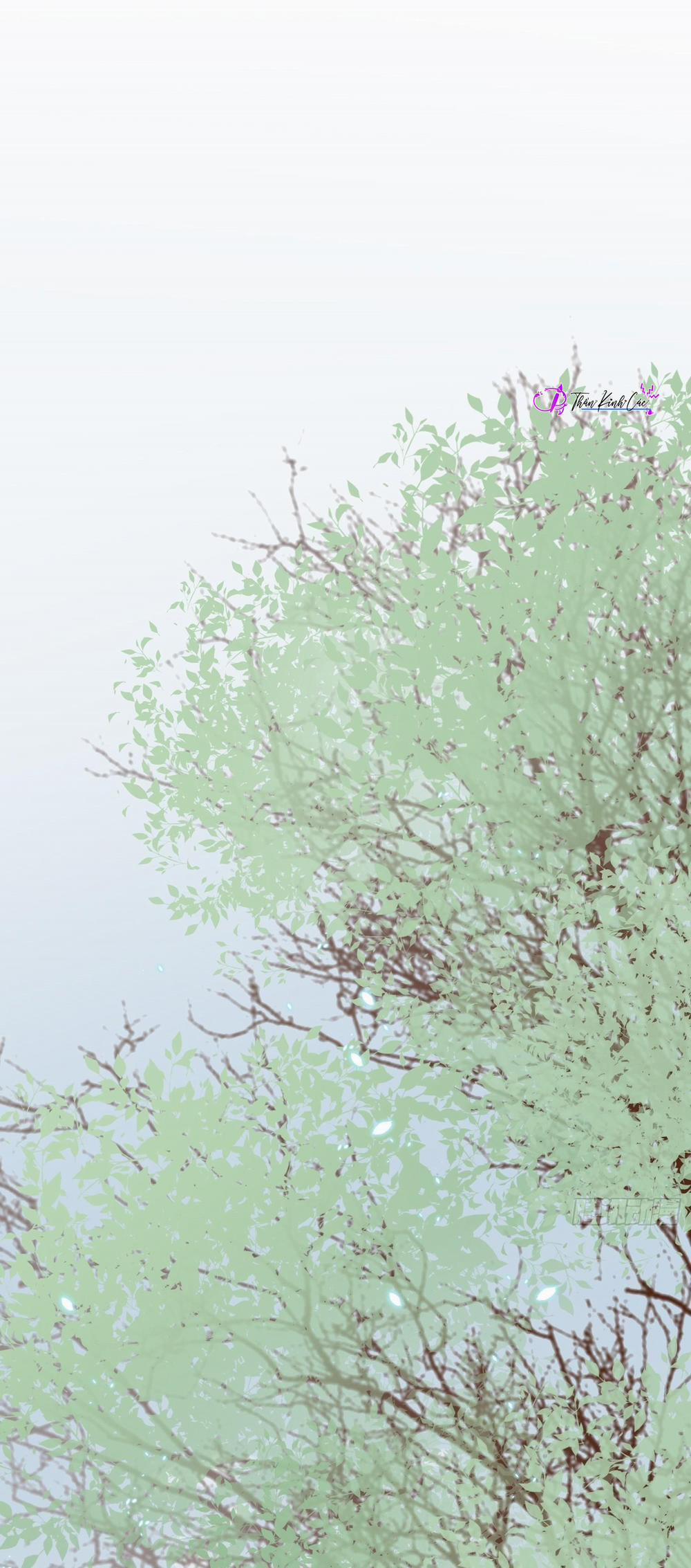 Dập Hoa Lục 21 trang 0