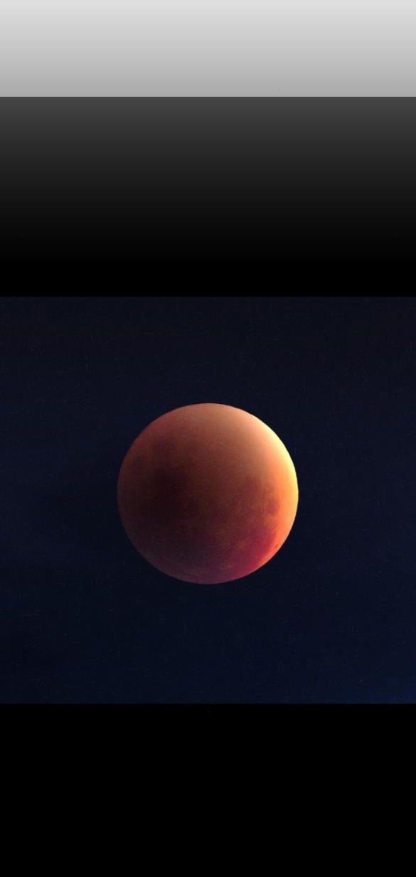 Dark Moon - Tế Đàn Ánh Trăng 40.1 trang 23