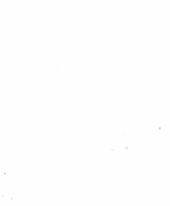 Dark Moon - Tế Đàn Ánh Trăng 67.1 trang 36