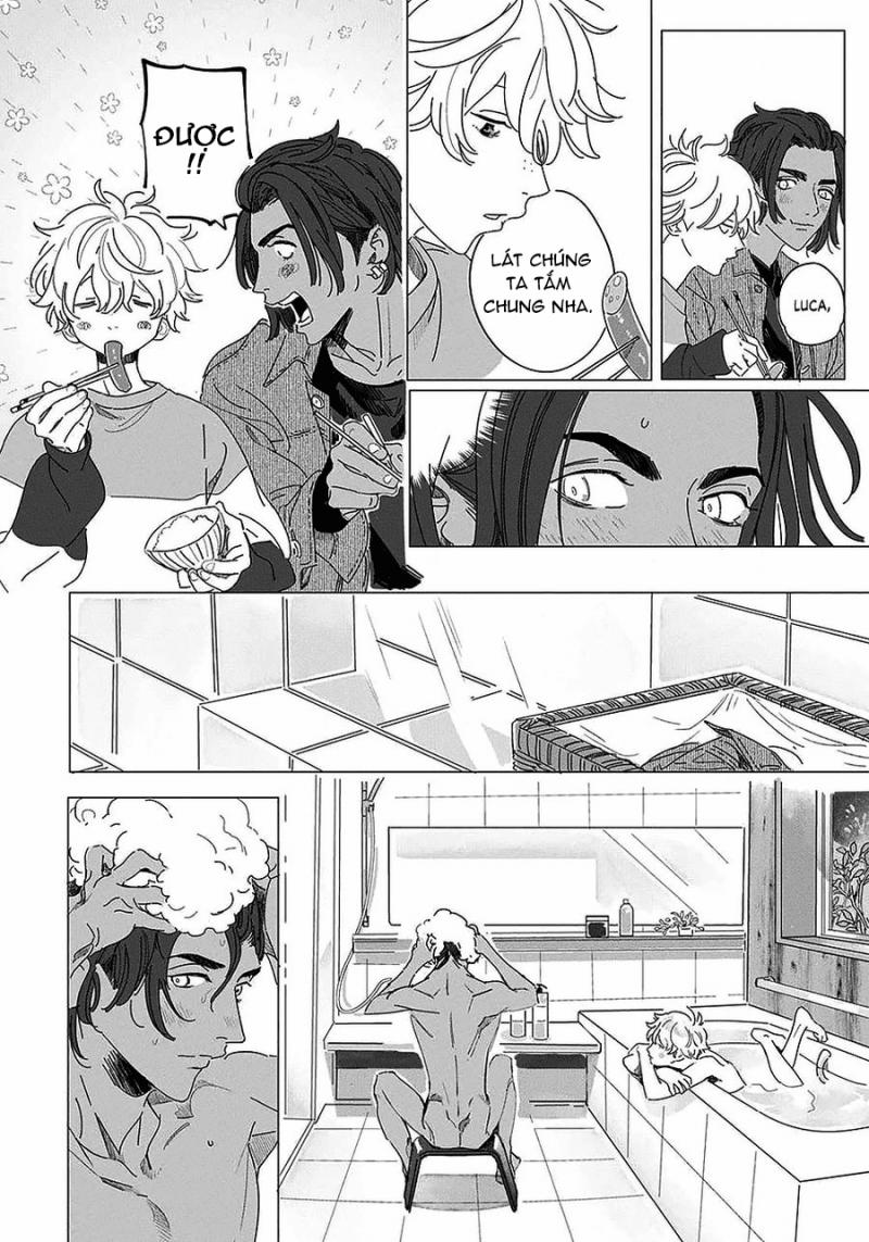 Đất Nước Của Những Chú Sư Tử 2 trang 11