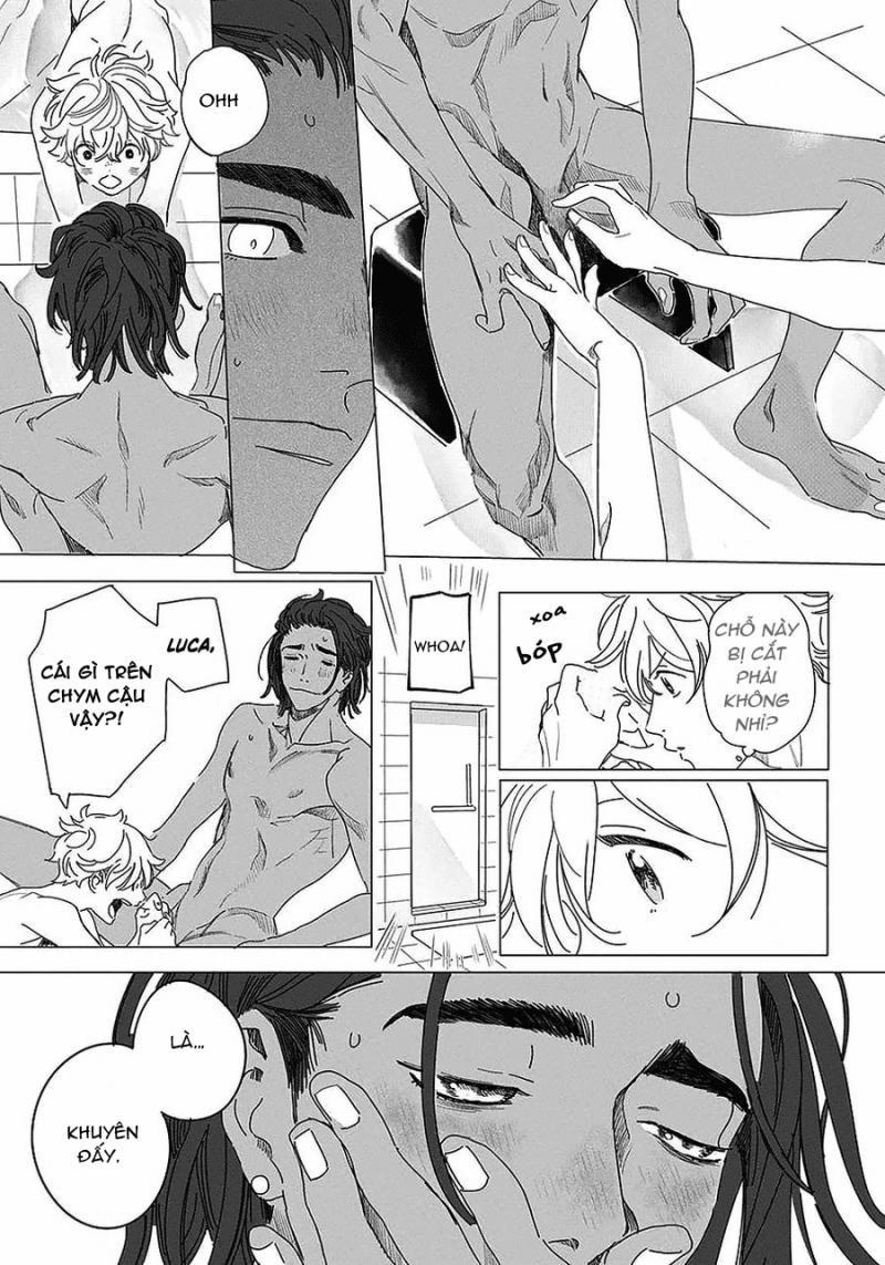 Đất Nước Của Những Chú Sư Tử 2 trang 14