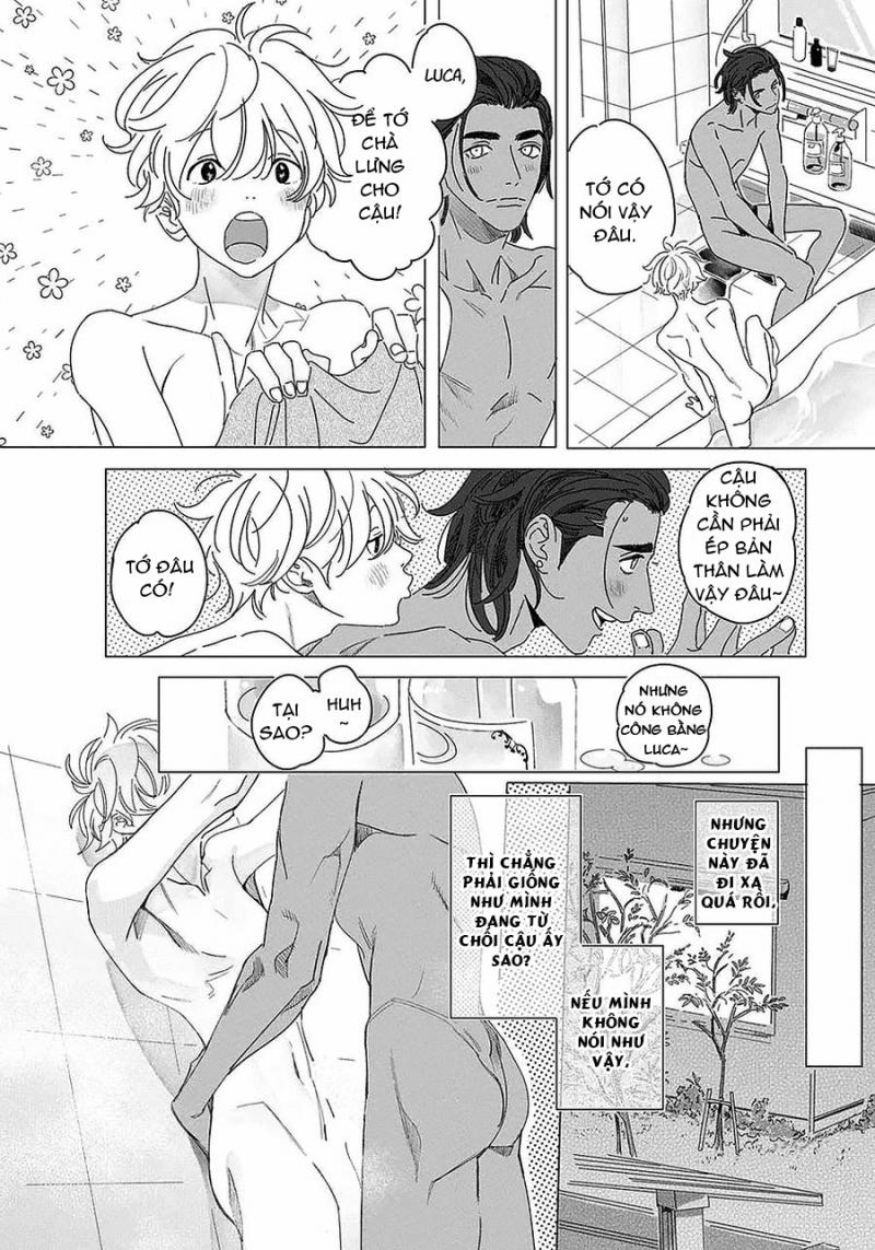 Đất Nước Của Những Chú Sư Tử 2 trang 17