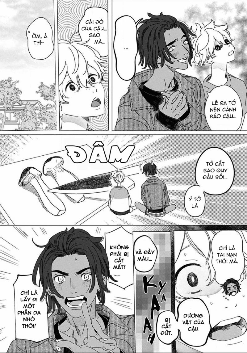 Đất Nước Của Những Chú Sư Tử 2 trang 9