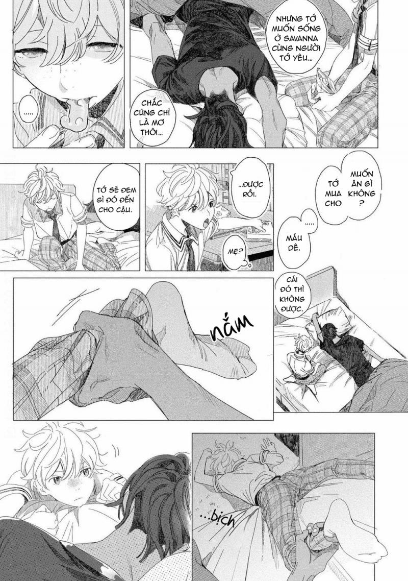 Đất Nước Của Những Chú Sư Tử 4 trang 10