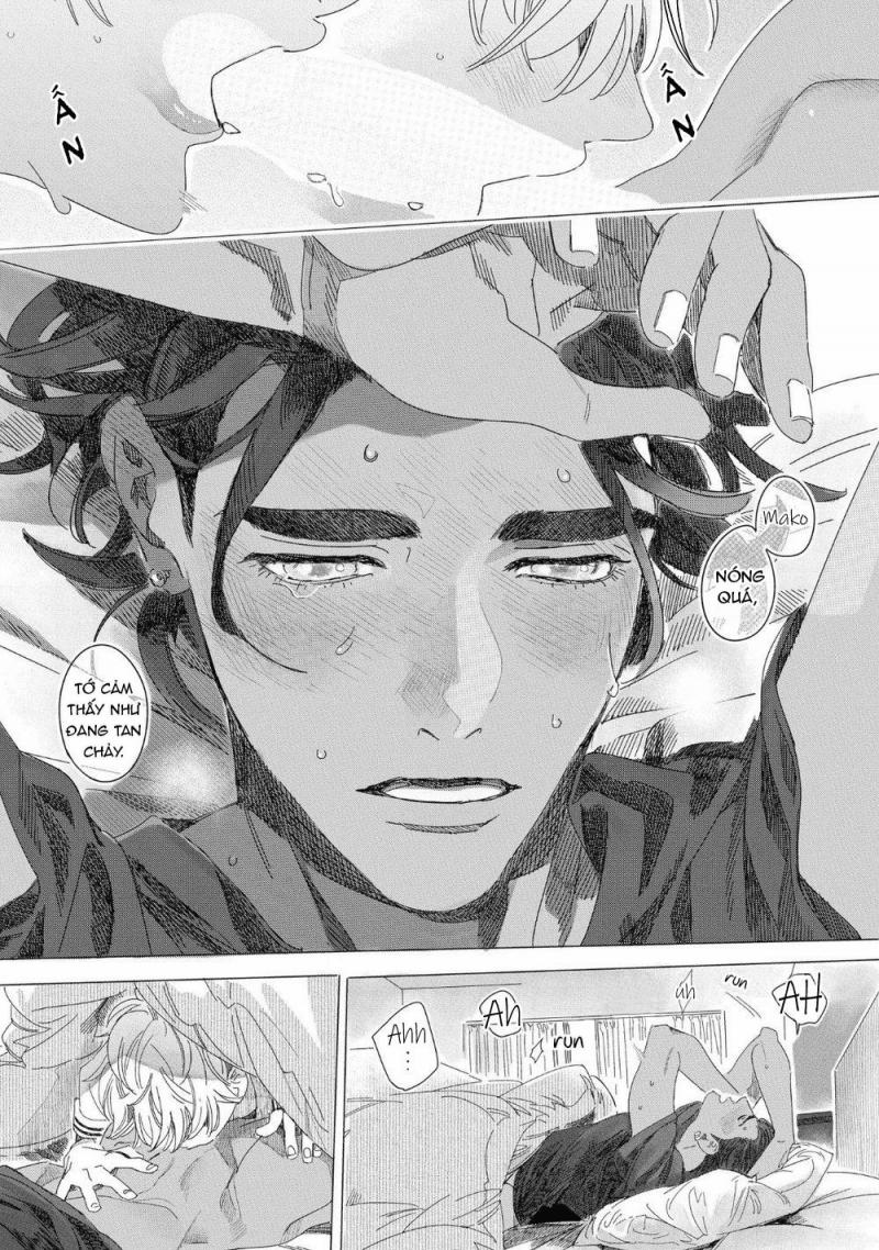 Đất Nước Của Những Chú Sư Tử 4 trang 20