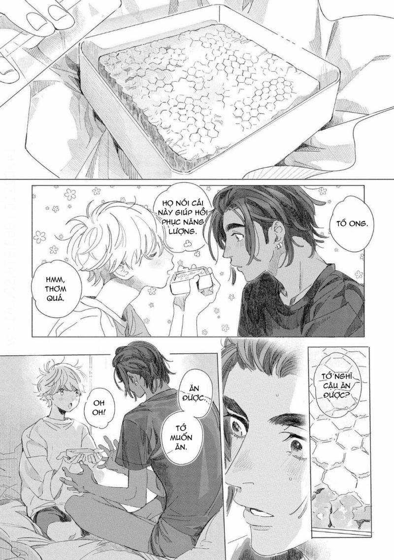 Đất Nước Của Những Chú Sư Tử 4 trang 25