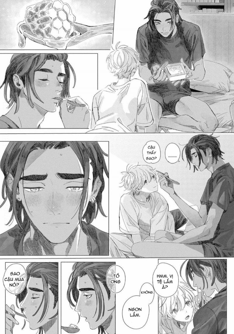 Đất Nước Của Những Chú Sư Tử 4 trang 26