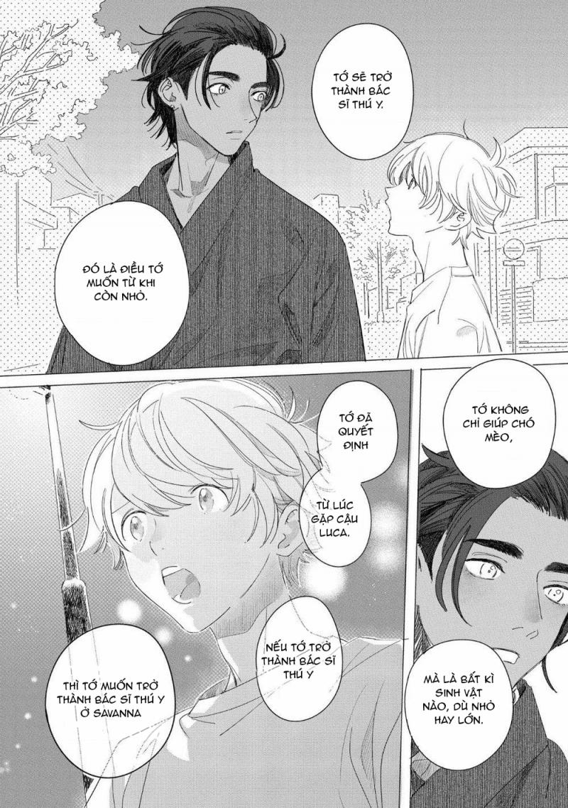 Đất Nước Của Những Chú Sư Tử 5 trang 17