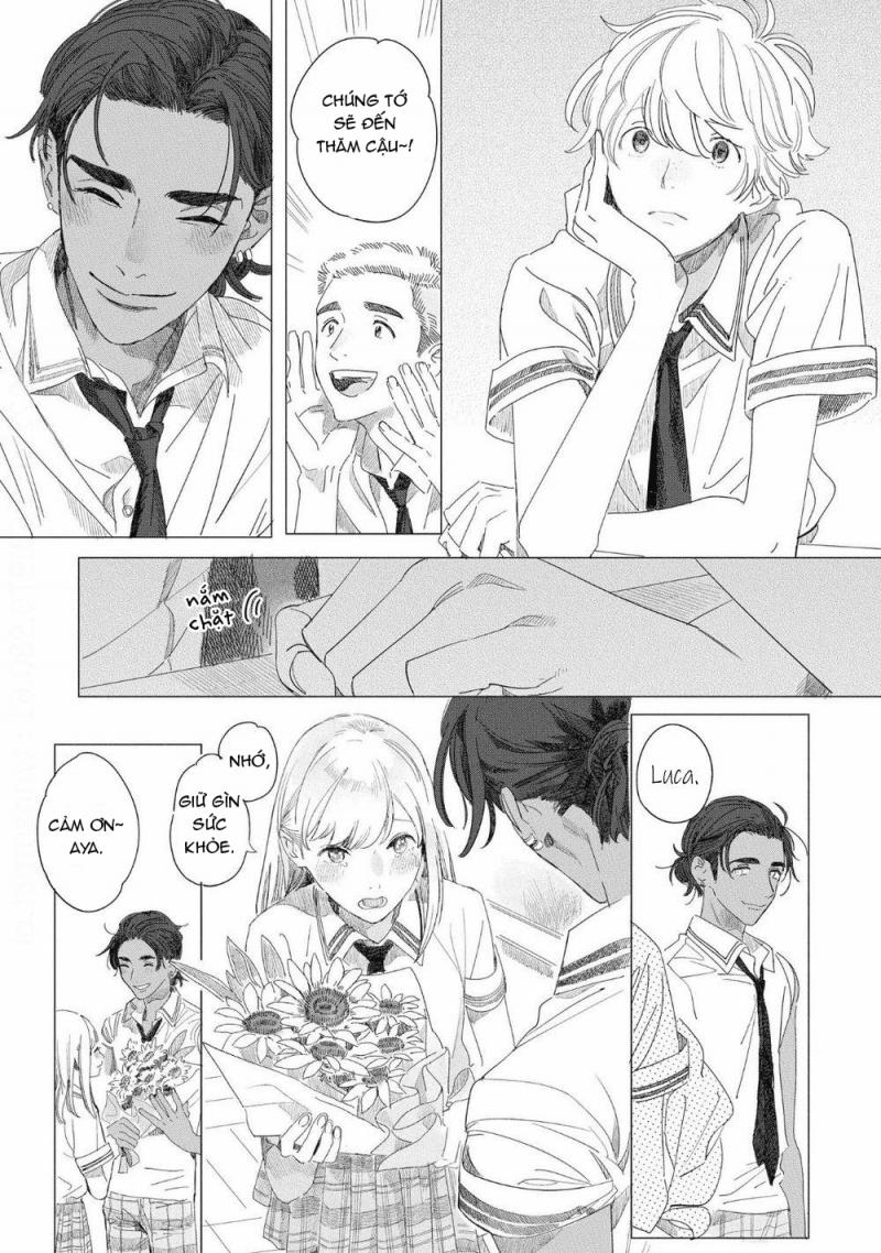 Đất Nước Của Những Chú Sư Tử 5 trang 4