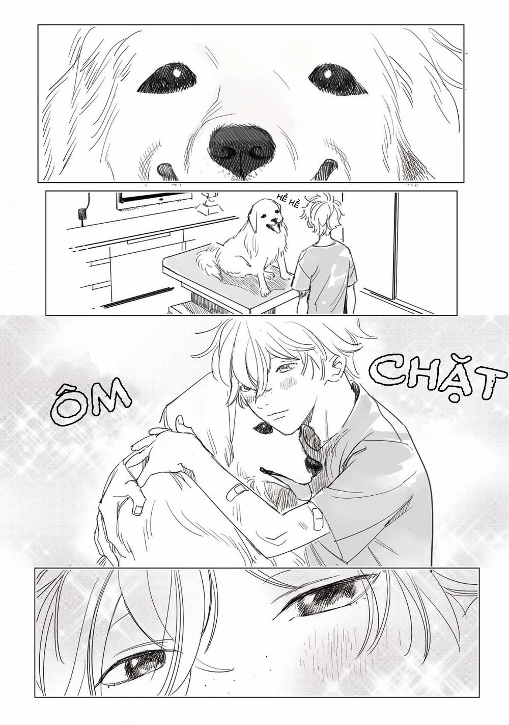 Đất Nước Của Những Chú Sư Tử 8 trang 15