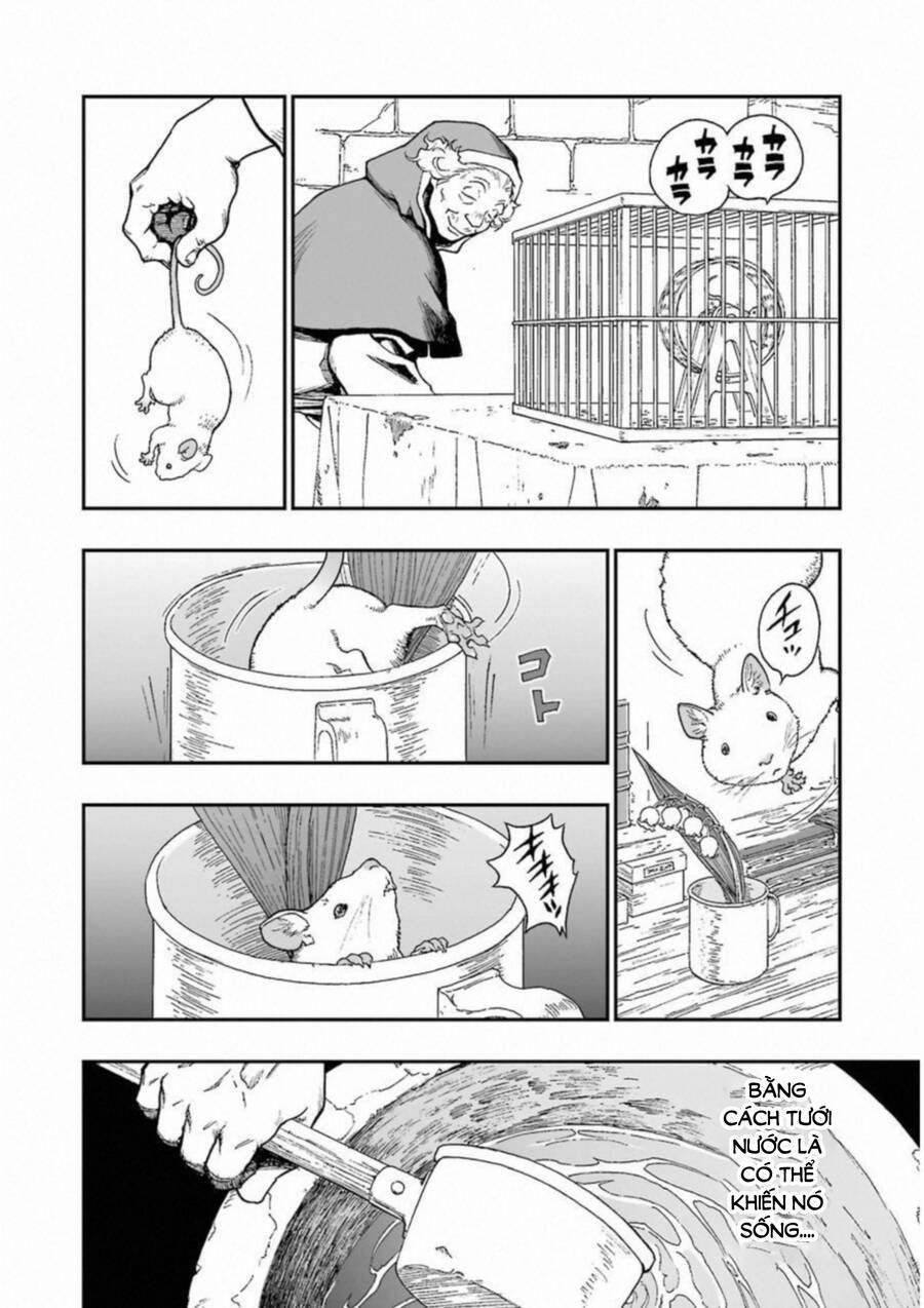 Dấu Ấn Rồng Thiêng - Người Kế Thừa Thánh Huy 296 trang 27