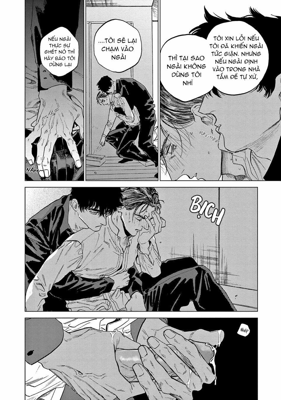 Đấu Giá Hikari Tokyo 1 trang 22