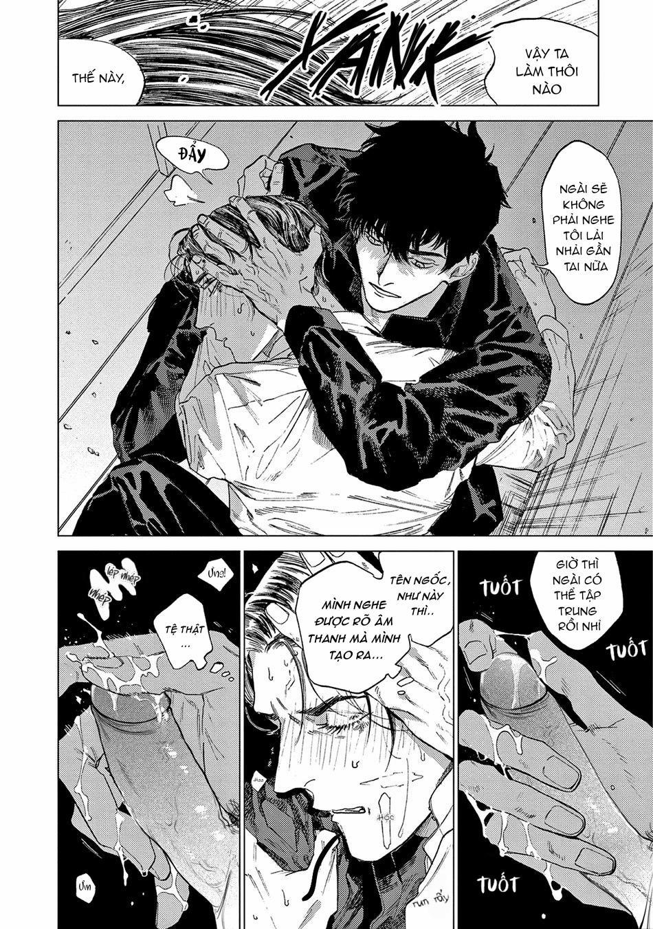 Đấu Giá Hikari Tokyo 1 trang 24