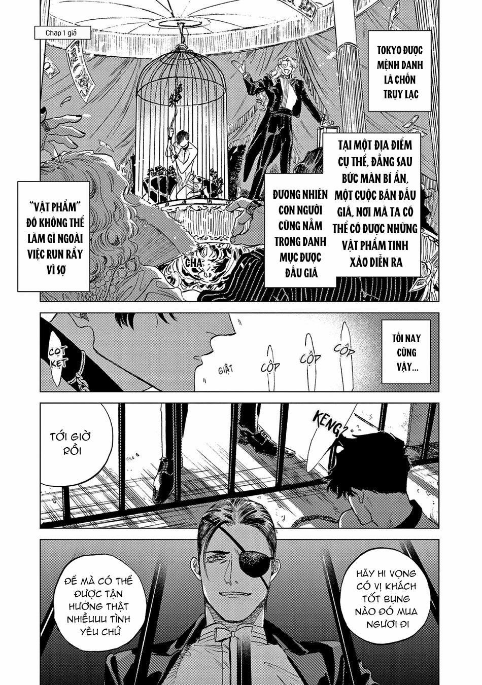 Đấu Giá Hikari Tokyo 1 trang 5