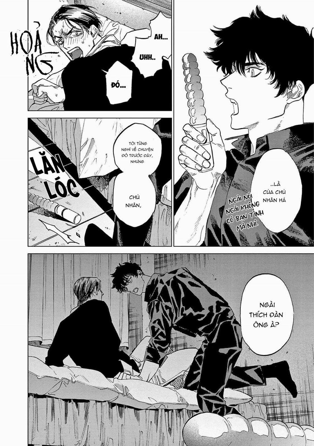 Đấu Giá Hikari Tokyo 2 trang 25