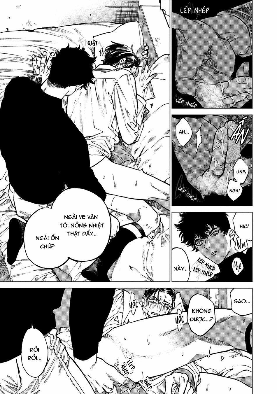 Đấu Giá Hikari Tokyo 3 trang 16