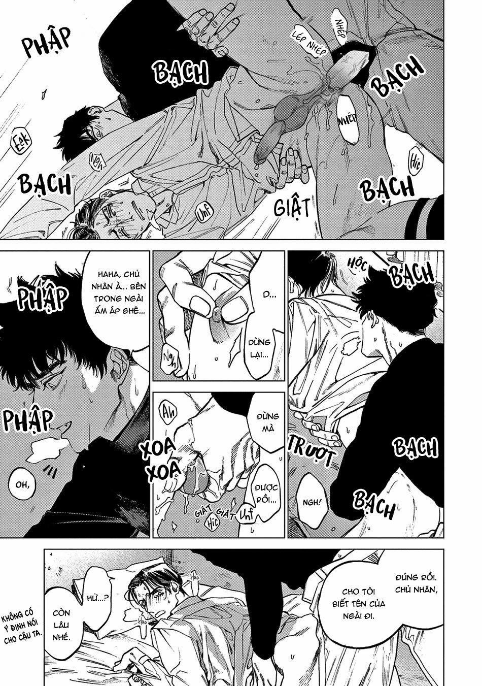 Đấu Giá Hikari Tokyo 3 trang 24