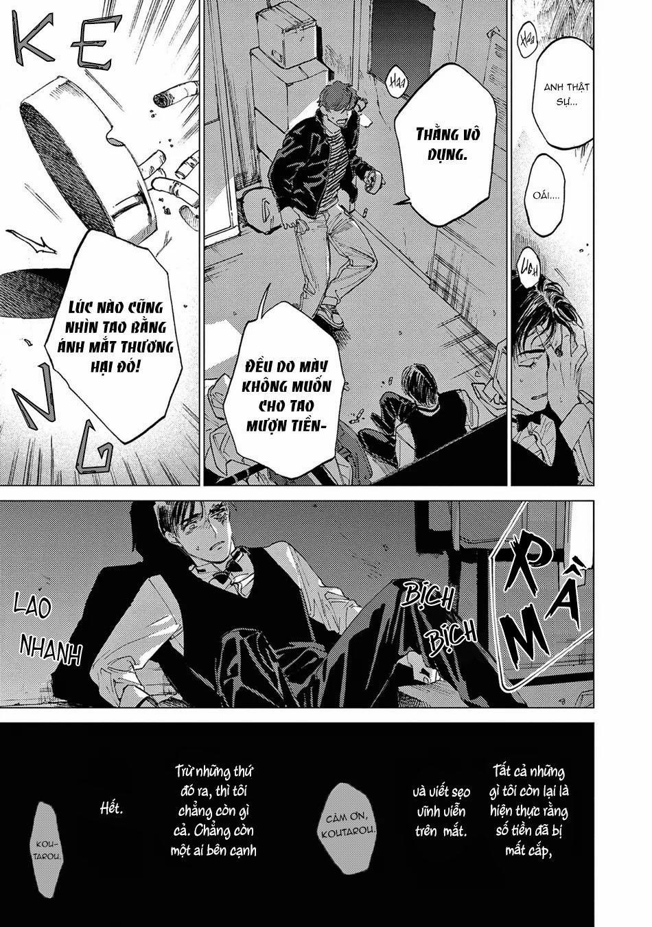 Đấu Giá Hikari Tokyo 4 trang 12